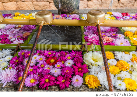 和心　冬の花手水 97726255