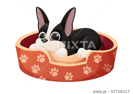 Cute Boston terrier cool sweet puppy lying in bed cartoon style isolated on white background. Cute dog, print design 97726527