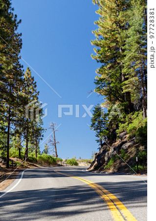 Asphalt road through forest Asphalt road through forest 97728381