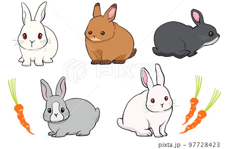 色々な種類の手描きウサギイラストセットのイラスト素材 [97728423