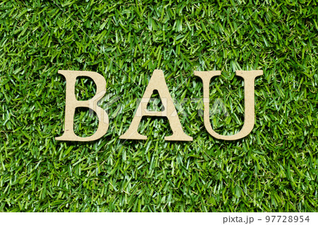 Wood alphabet letter in word BAU (abbreviation of business as usual) on green grass background 97728954