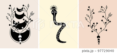 Black and white boho composition with snake, celestial moon, flowers and leaves. Mystical, magical compositions. Suitable for banners, posters, postcards. Vector illustration 97729040