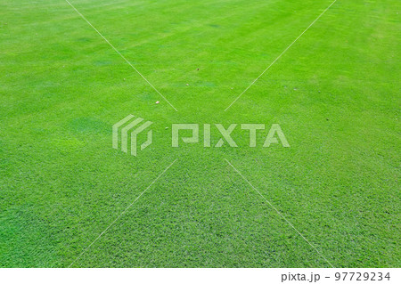 Green grass on a golf course in the evening. High quality photo 97729234