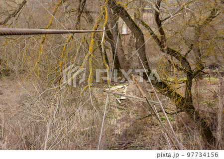 Broken old pedestrian bridge in the countryside, metal cables without boards 97734156