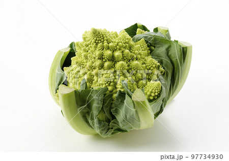 ロマネスコ 97734930
