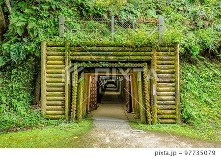 秋の石見銀山　龍源寺間歩（出口）　島根県大田市 97735079
