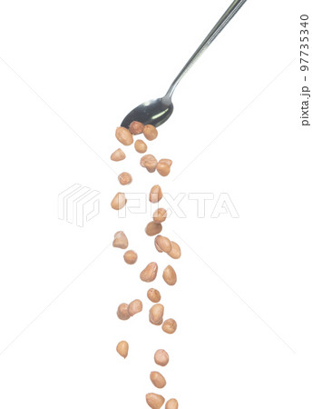 Peanut fall, brown grain peanuts explode abstract cloud fly from silver spoon. Beautiful complete seed pea peanuts, food object design. Selective focus freeze shot white background isolated Peanut fall, brown grain peanuts explode abstract cloud fly from silver spoon. Beautiful complete seed pea peanuts, food object design. Selective focus freeze shot white background isolated 97735340