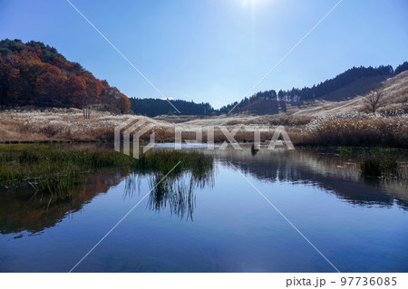 青空バックに見る砥峰高原の秋の情景@兵庫 青空バックに見る砥峰高原の秋の情景@兵庫 97736085