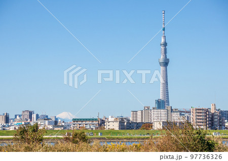 「東京都」荒川河川敷から望むスカイツリーと富士山 「東京都」荒川河川敷から望むスカイツリーと富士山 97736326