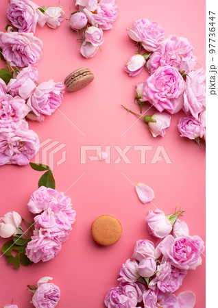 pink roses with white envelope and macaroons around pink background. life style concept. flat lay pink roses with white envelope and macaroons around pink background. life style concept. flat lay 97736447