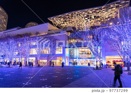 《神奈川県》横浜みなとみらい・グランモール公園のイルミネーション 97737299