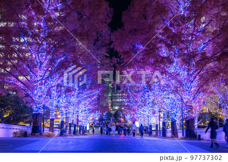 《神奈川県》横浜みなとみらい・グランモール公園のイルミネーション 97737302