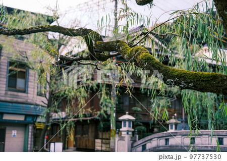 【#城崎】城崎温泉の町並み 97737530