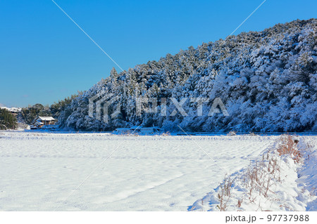 高知の積雪 97737988
