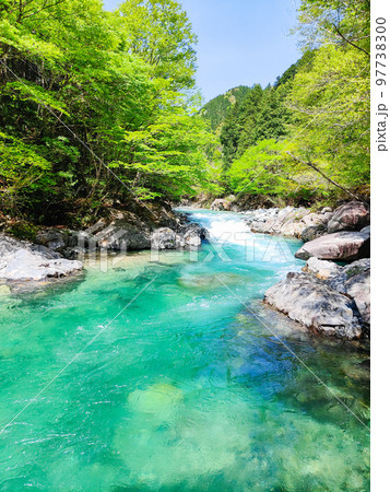 阿寺渓谷 97738300