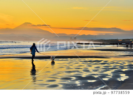 湘南海岸の夕陽と犬の散歩する情景 97738559