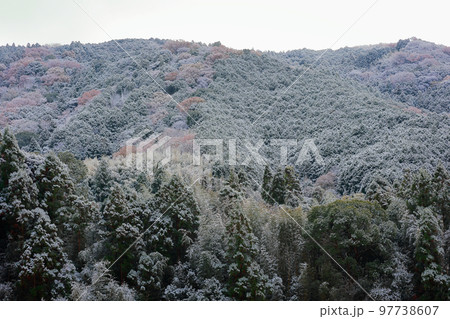 高知の積雪 97738607