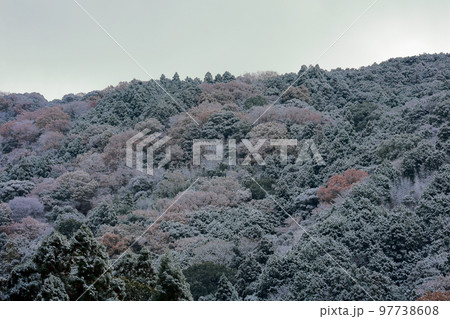 高知の積雪 97738608