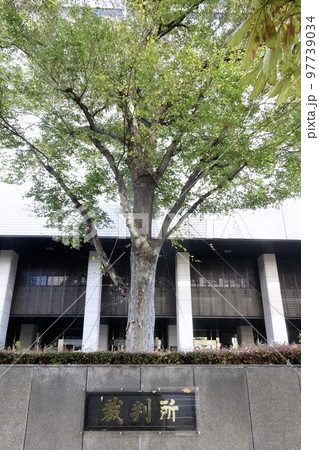 東京高等裁判所・東京地方裁判所 97739034