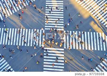 西日があたる数寄屋橋スクランブル交差点 97739308