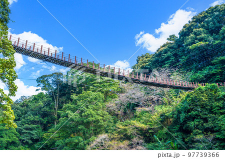 豊かな自然(氷川・火の国橋　吊橋風景)「立神峡里地公園」 97739366