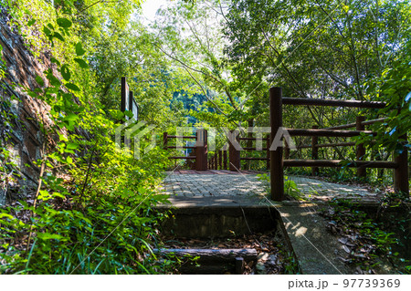 豊かな自然(氷川・火の国橋　吊橋風景)「立神峡里地公園」 97739369