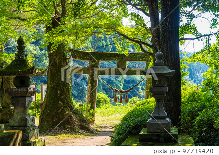 豊かな自然(神社・鳥居)「立神峡里地公園」 豊かな自然(神社・鳥居)「立神峡里地公園」 97739420