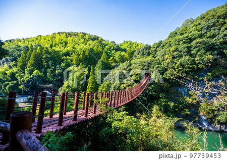 豊かな自然(氷川・火の国橋 吊橋風景)「立神峡里地公園」 豊かな自然(氷川・火の国橋 吊橋風景)「立神峡里地公園」 97739453