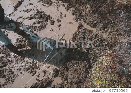 Agriculture 97739566