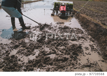 Agriculture 97739568
