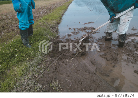 Agriculture 97739574