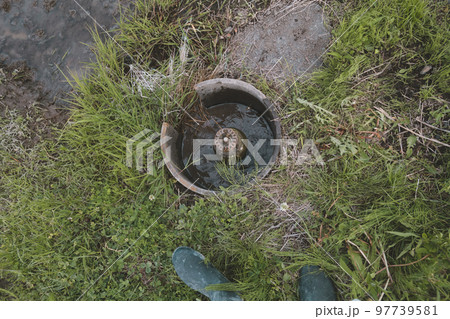 Agriculture 97739581