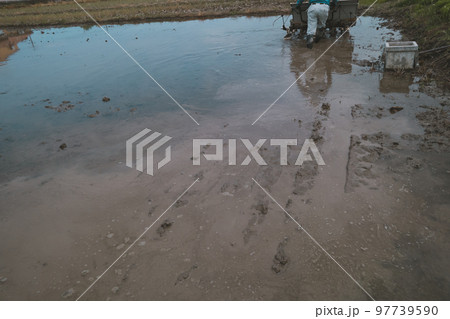 Agriculture 97739590