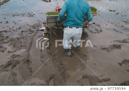 Agriculture 97739594