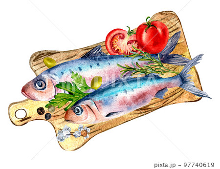 Composition of sardines and tomatoes watercolor illustration isolated on white. 97740619