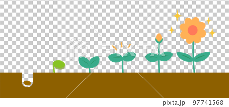 種から花へ　段階的に成長する植物のイラスト 97741568