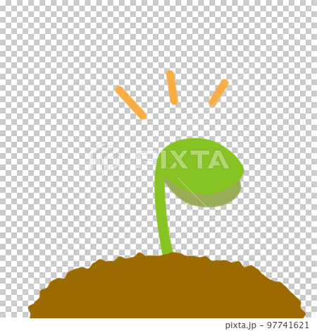 A simple illustration of sprouting sprouts A simple illustration of sprouting sprouts 97741621