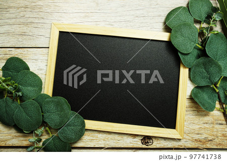 Eucalyptus leaves border frame with space copy on wooden background 97741738