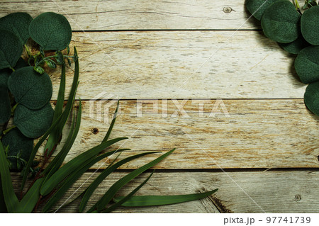 Eucalyptus leaves border frame with space copy on wooden background 97741739