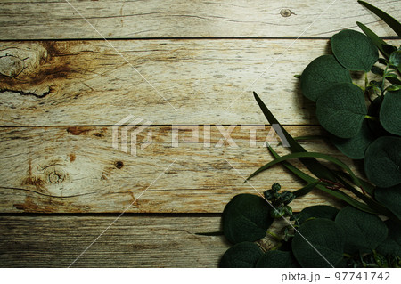 Eucalyptus leaves border frame with space copy on wooden background 97741742