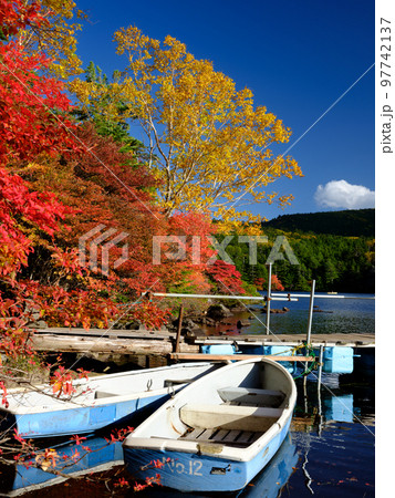 長野蓼科_紅葉する白駒池の絶景 長野蓼科_紅葉する白駒池の絶景 97742137