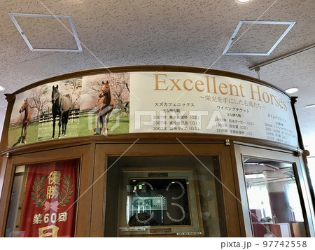 うらかわ優駿ビレッジAERUの功労馬の紹介 うらかわ優駿ビレッジAERUの功労馬の紹介 97742558