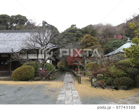 鎌倉市の浄光明寺（参道・客殿・不動堂） 97743388