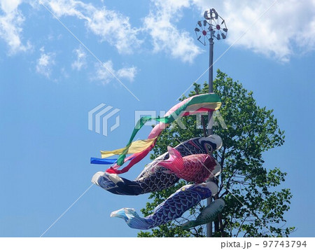 青空とこいのぼり 97743794