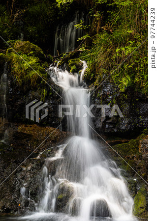 【静岡県・陣馬の滝】清涼感タップリ、富士山の伏流水 夏編 8月 【静岡県・陣馬の滝】清涼感タップリ、富士山の伏流水 夏編 8月 97744239