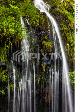 【静岡県・陣馬の滝】清涼感タップリ、富士山の伏流水 夏編 8月 【静岡県・陣馬の滝】清涼感タップリ、富士山の伏流水 夏編 8月 97744241