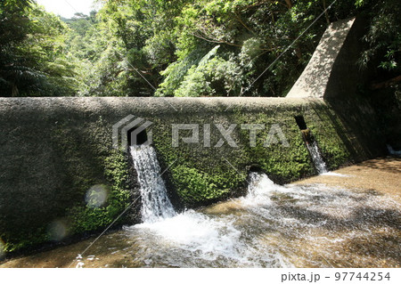 奥間川 奥間 滝 自然 沖縄 沖縄の自然 川 トレッキング 奥間川 奥間 滝 自然 沖縄 沖縄の自然 川 トレッキング 97744254