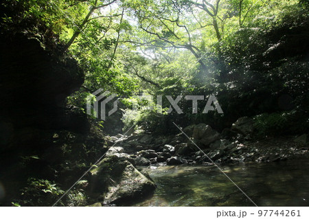 奥間川　奥間　滝　自然　沖縄　沖縄の自然　川　トレッキング 97744261