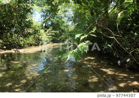 奥間川　奥間　滝　自然　沖縄　沖縄の自然　川　トレッキング 97744307