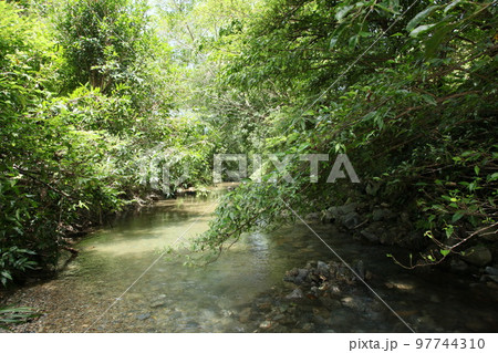 奥間川　奥間　滝　自然　沖縄　沖縄の自然　川　トレッキング 97744310